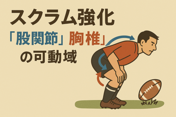 スクラム強化のカギは“股関節”と“胸椎”の可動域サムネイル